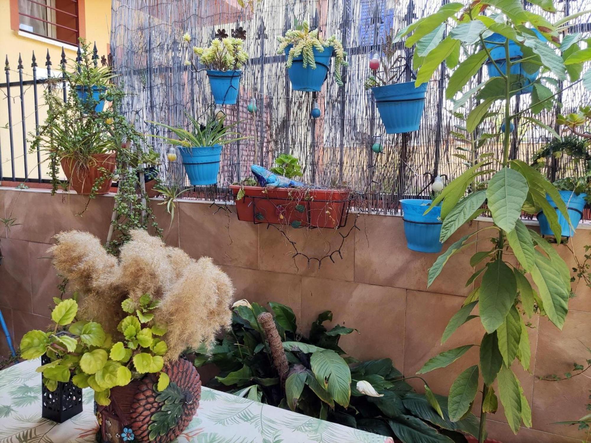 Apartamento Cool Garden Mairena del Aljarafe Exterior photo